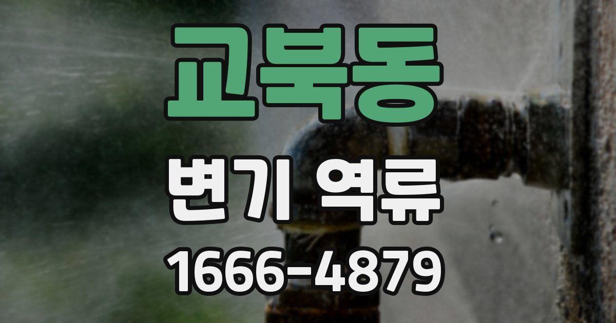 교북동 변기 역류