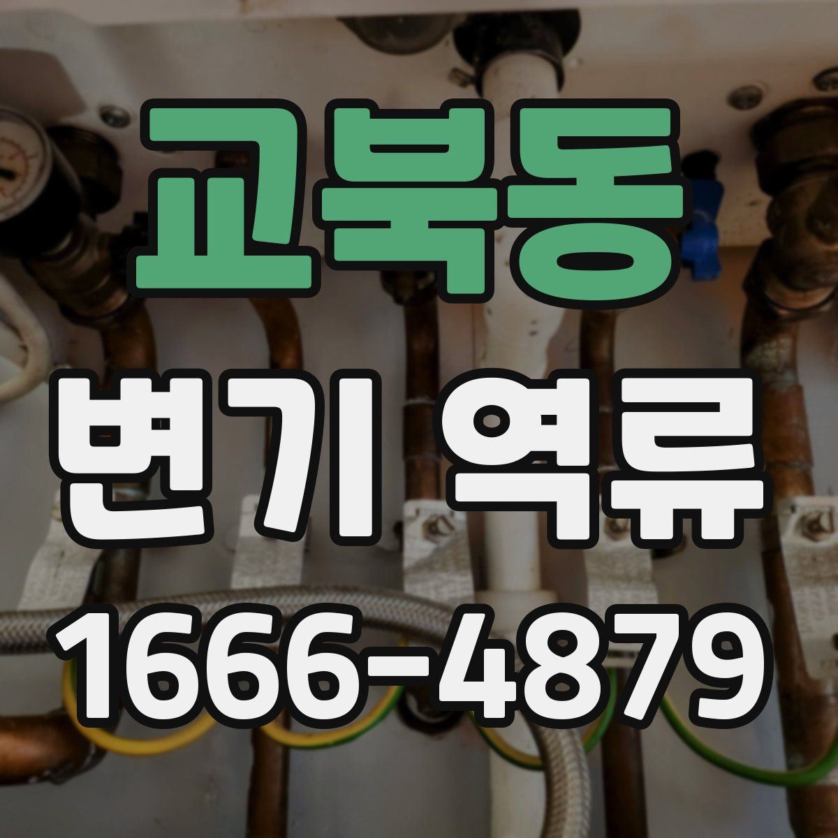 교북동 변기 역류