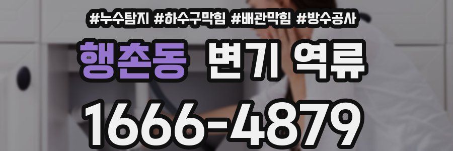 행촌동 변기 역류