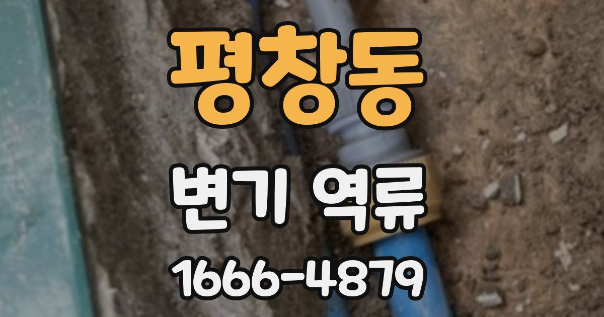 평창동 변기 역류