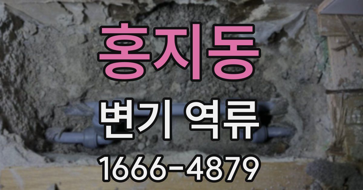홍지동 변기 역류
