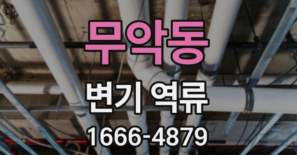 무악동 변기 역류