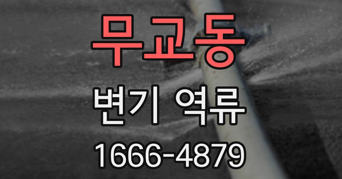 무교동 변기 역류