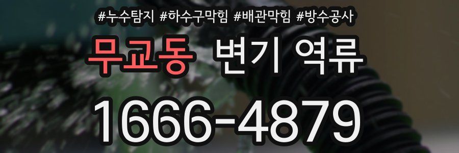 무교동 변기 역류