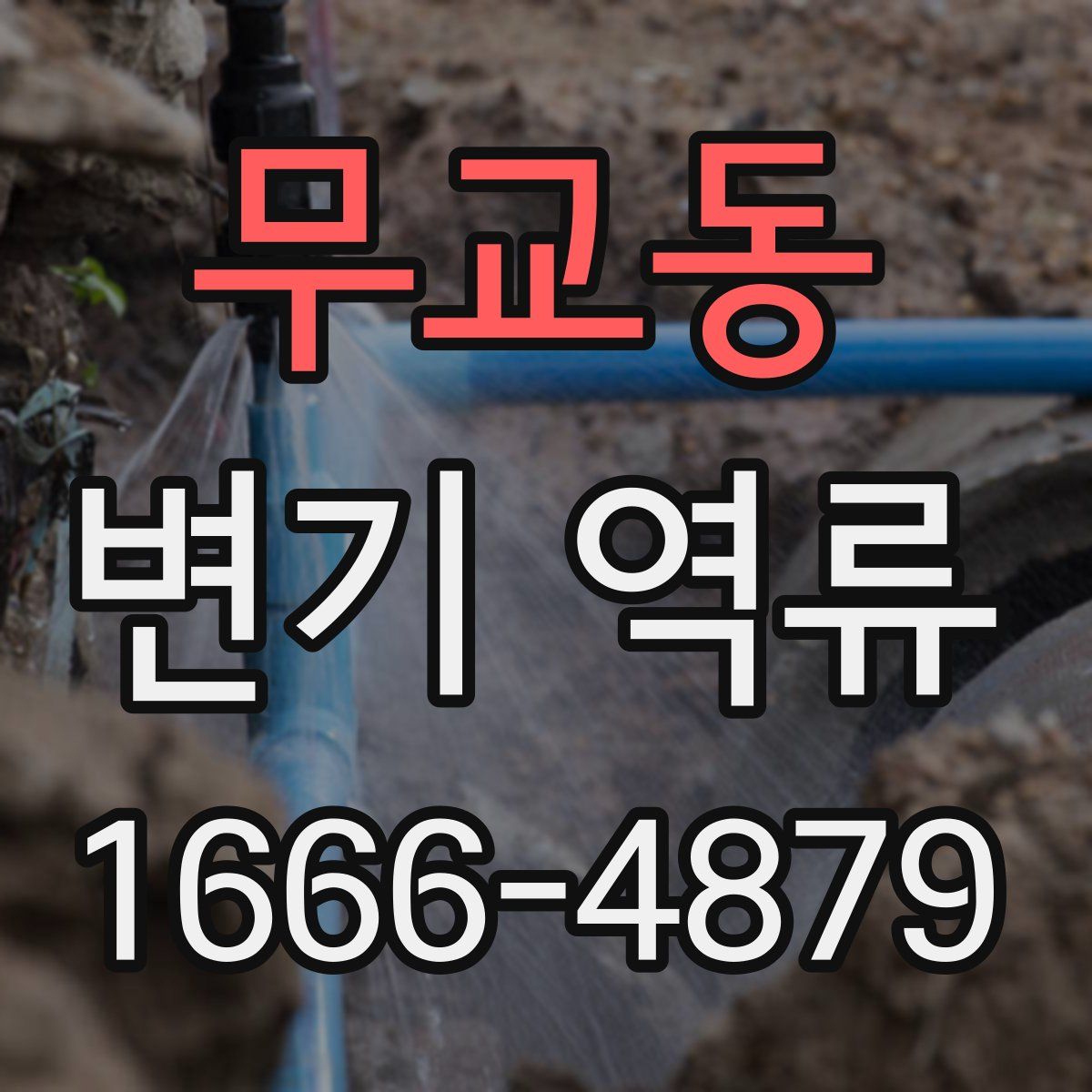 무교동 변기 역류