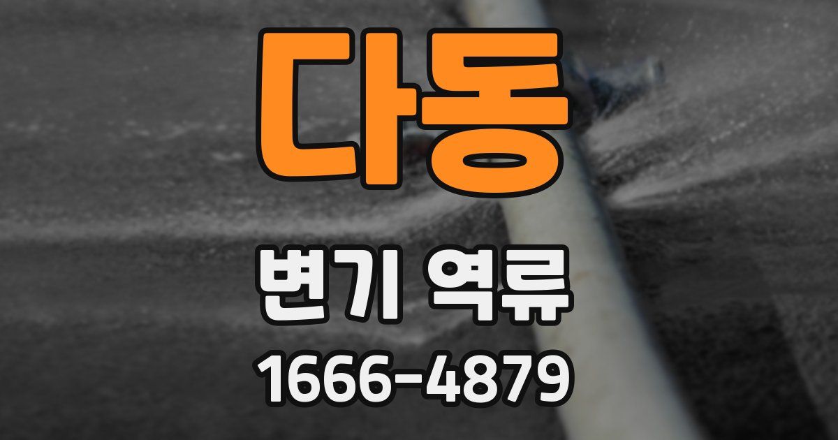 다동 변기 역류