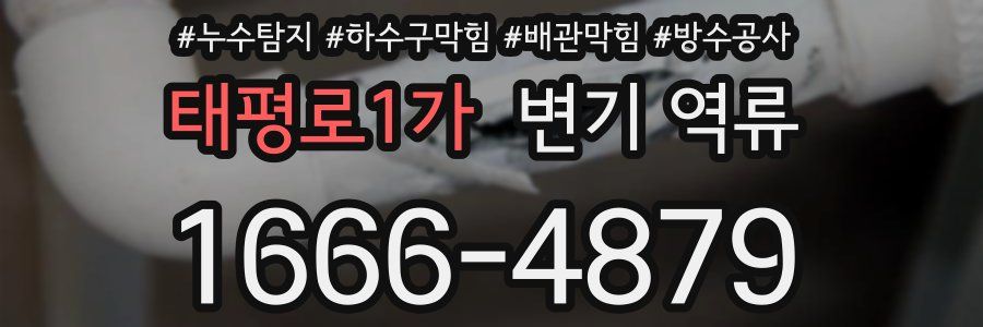 태평로1가 변기 역류