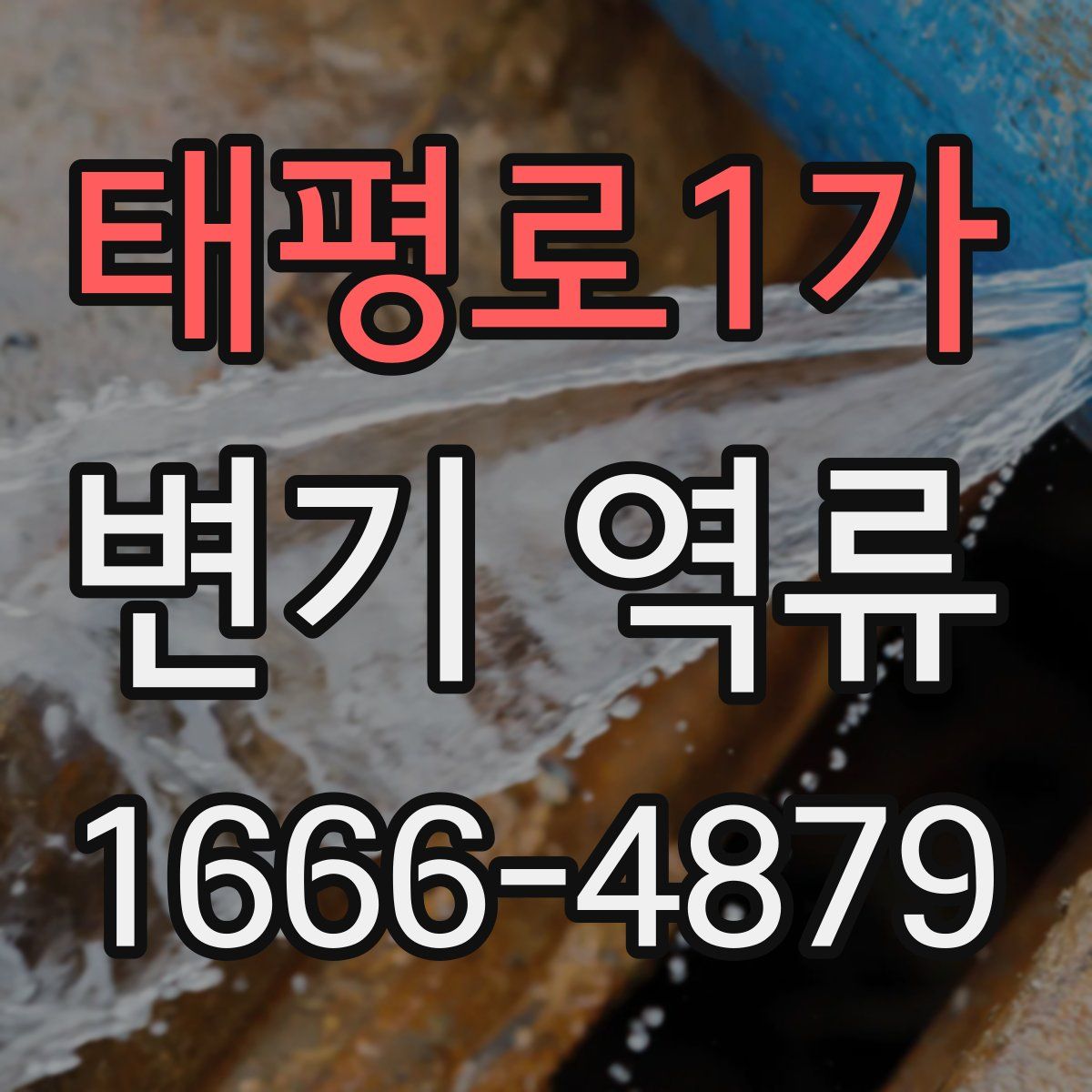 태평로1가 변기 역류