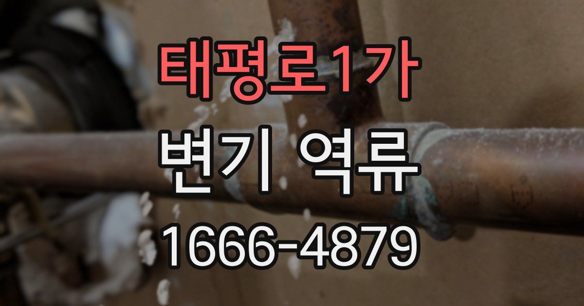 태평로1가 변기 역류