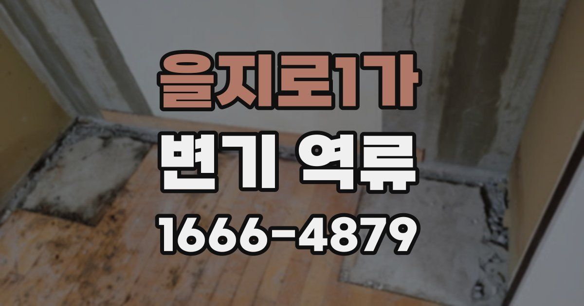 을지로1가 변기 역류