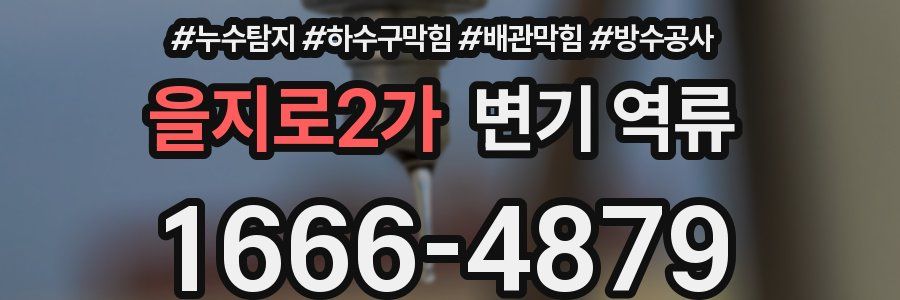 을지로2가 변기 역류