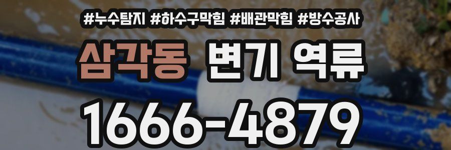 삼각동 변기 역류