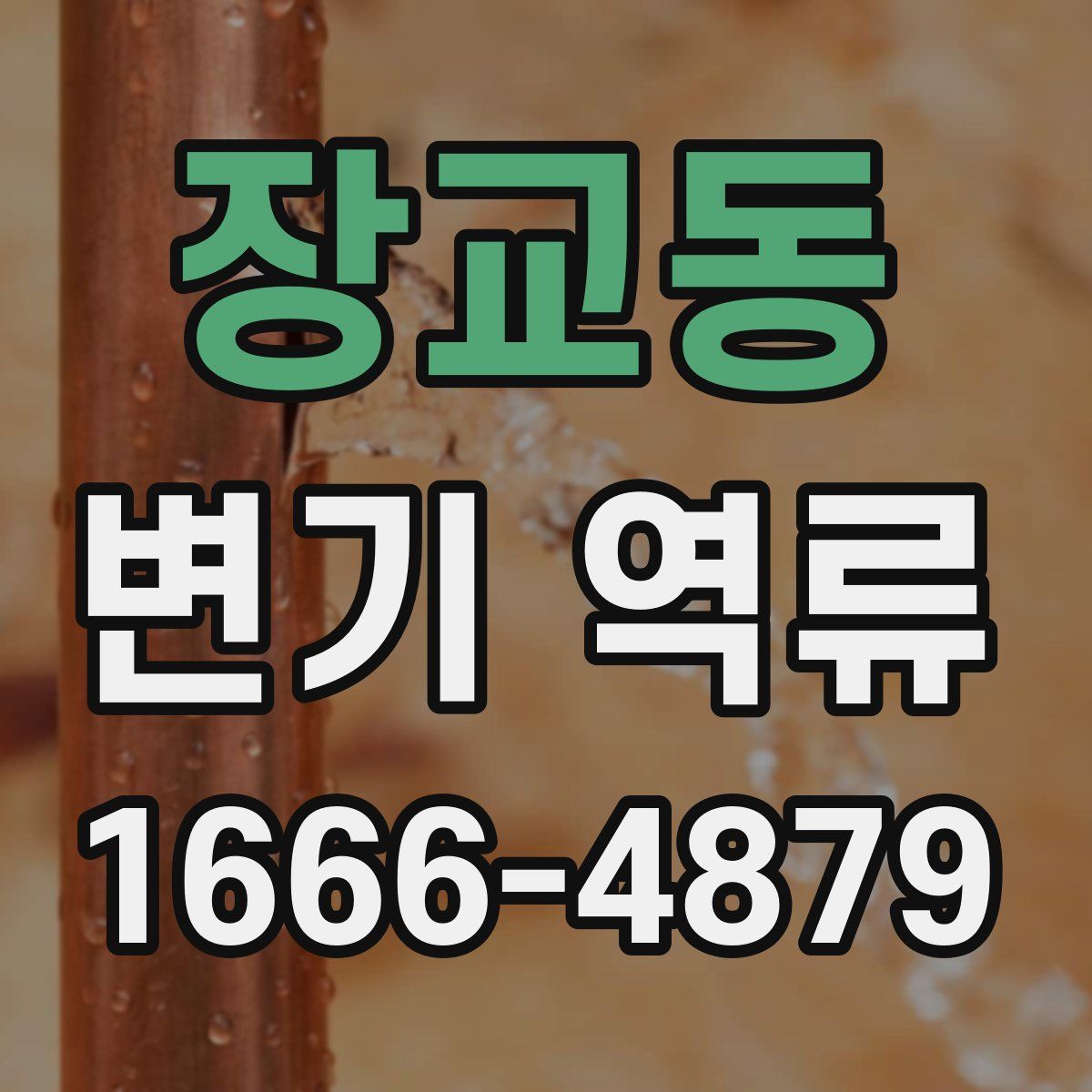 장교동 변기 역류