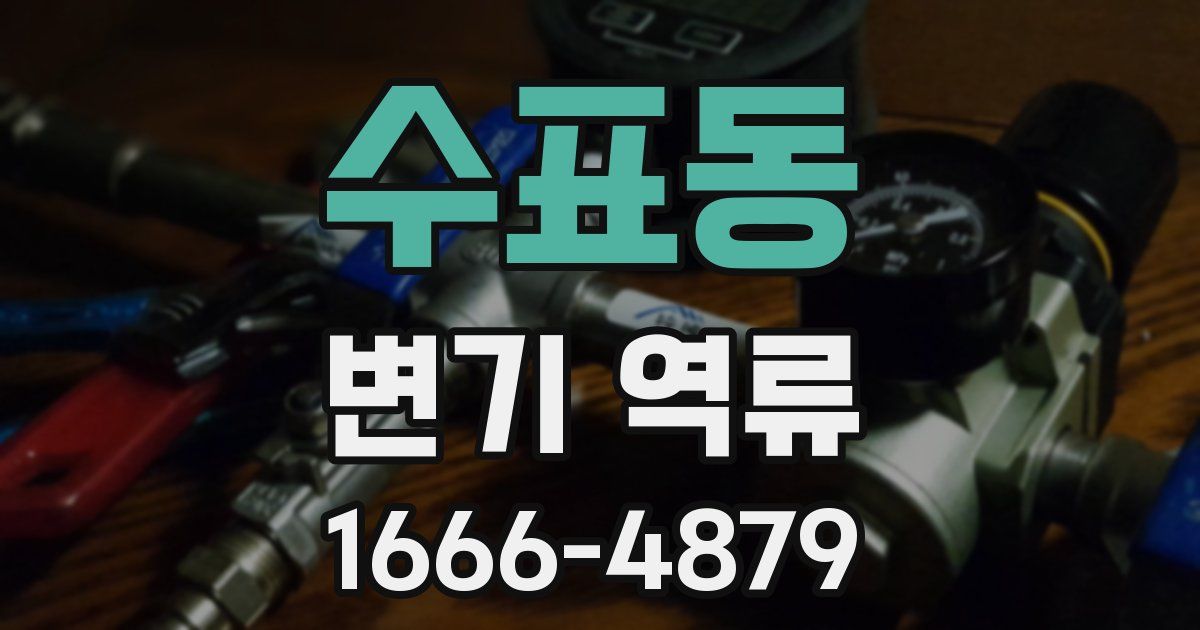 수표동 변기 역류