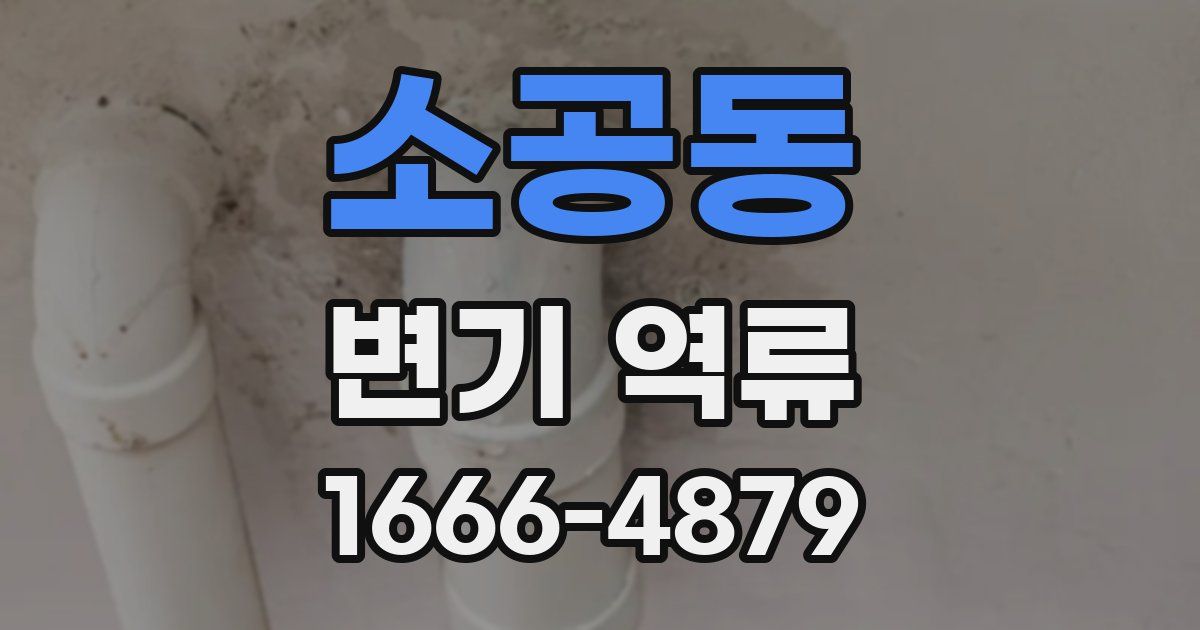 소공동 변기 역류