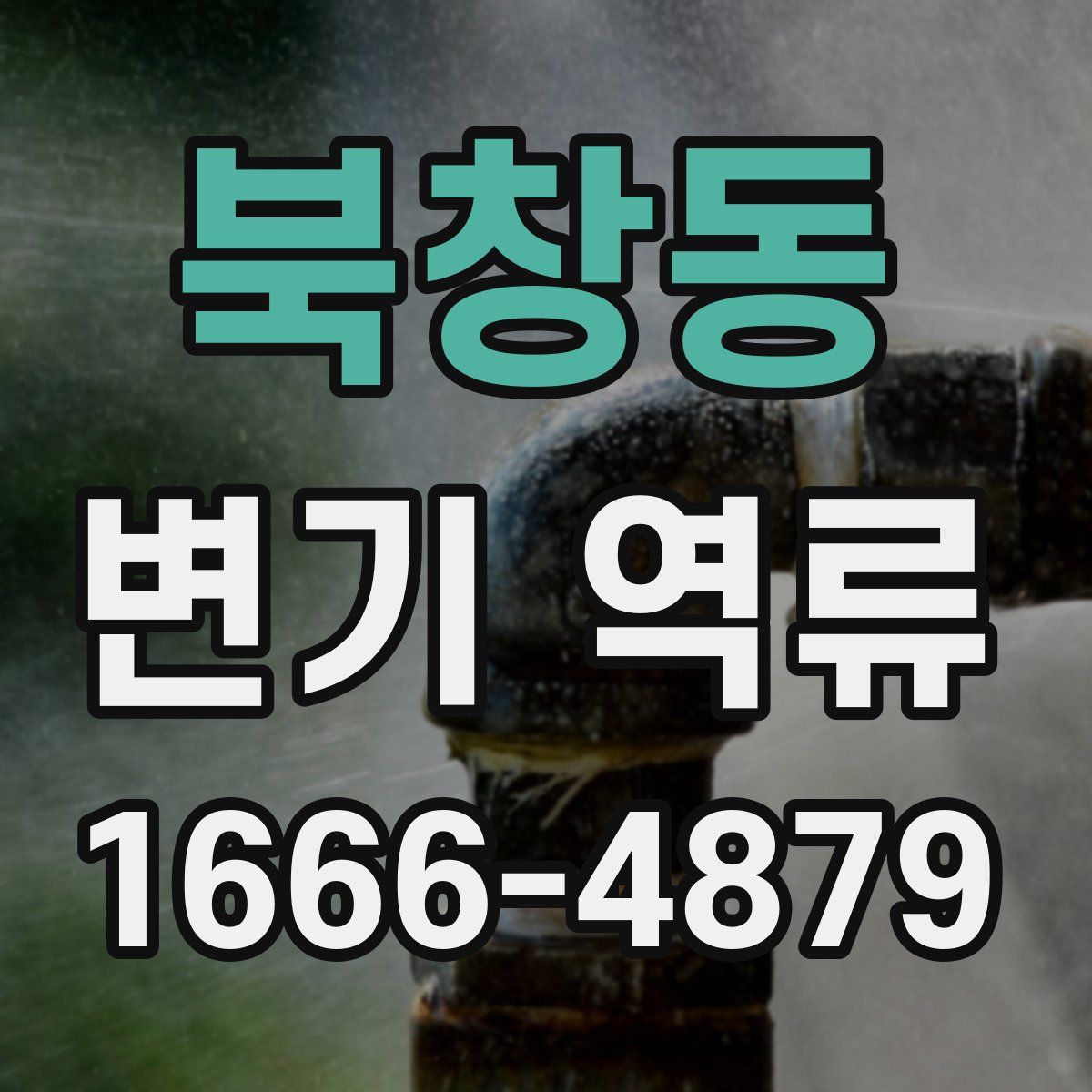 북창동 변기 역류