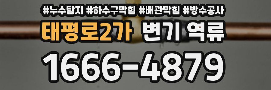 태평로2가 변기 역류