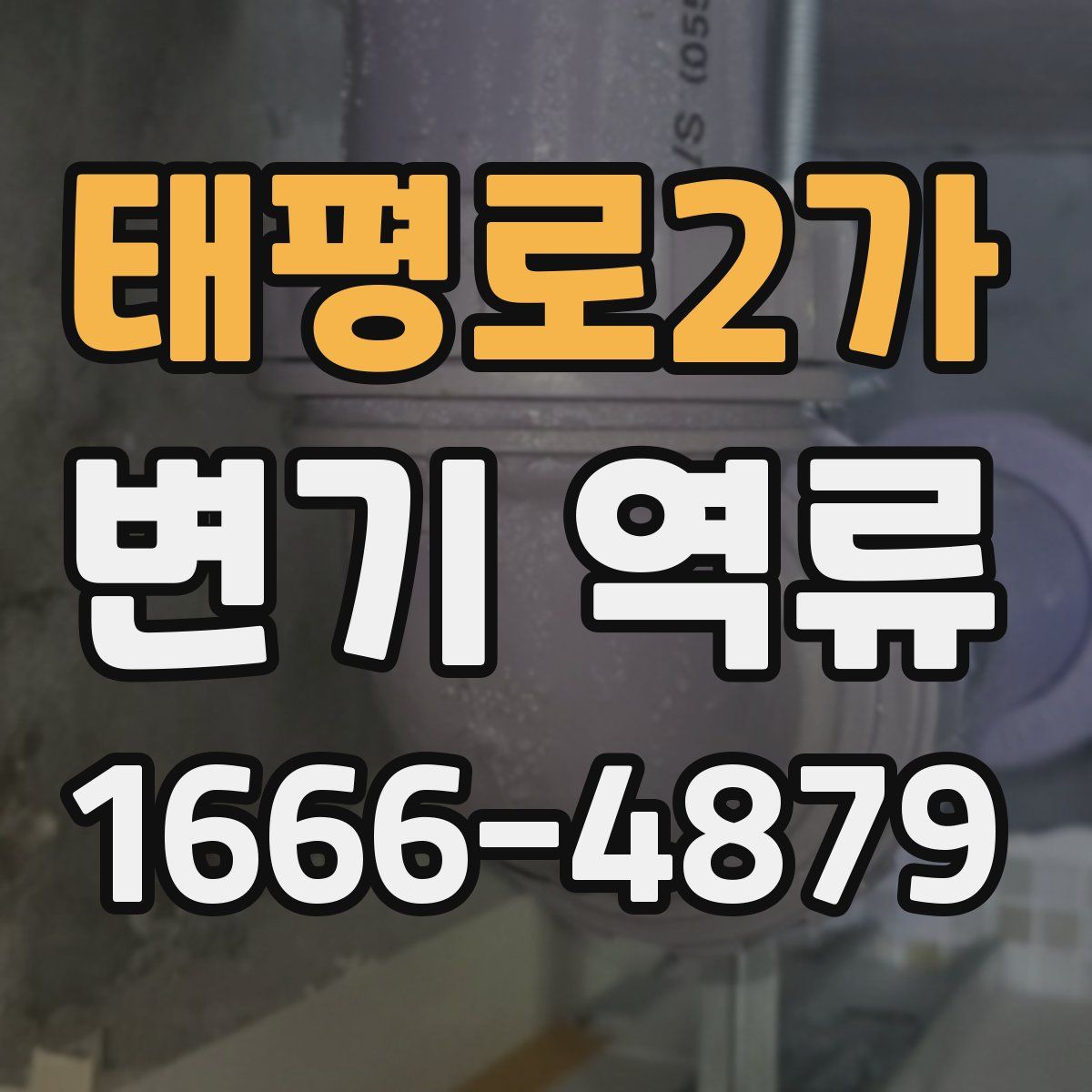 태평로2가 변기 역류