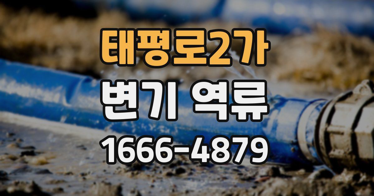 태평로2가 변기 역류