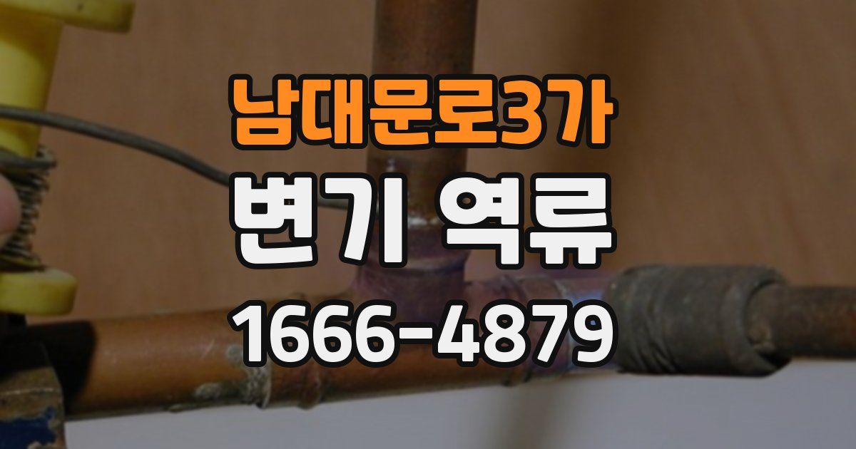 남대문로3가 변기 역류