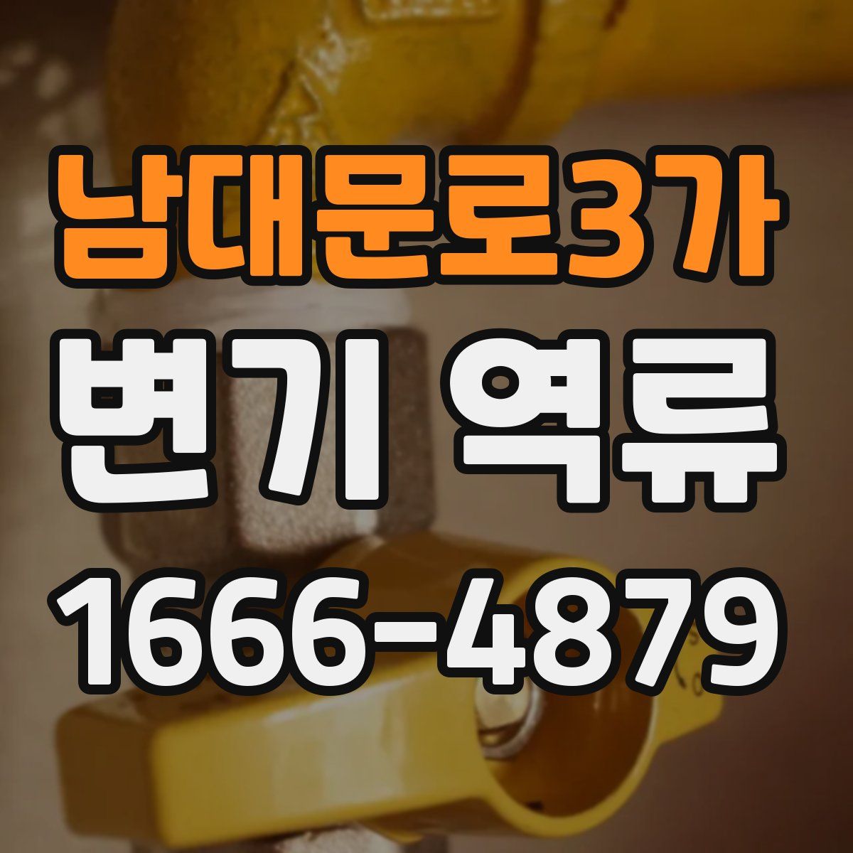 남대문로3가 변기 역류