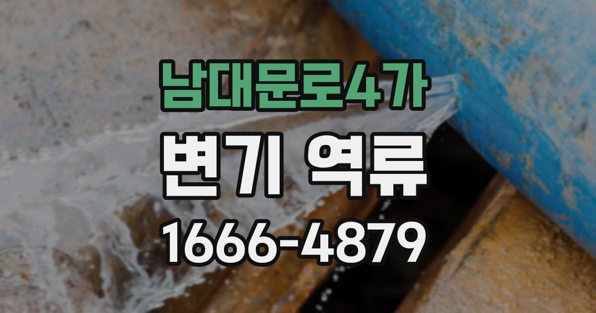 남대문로4가 변기 역류