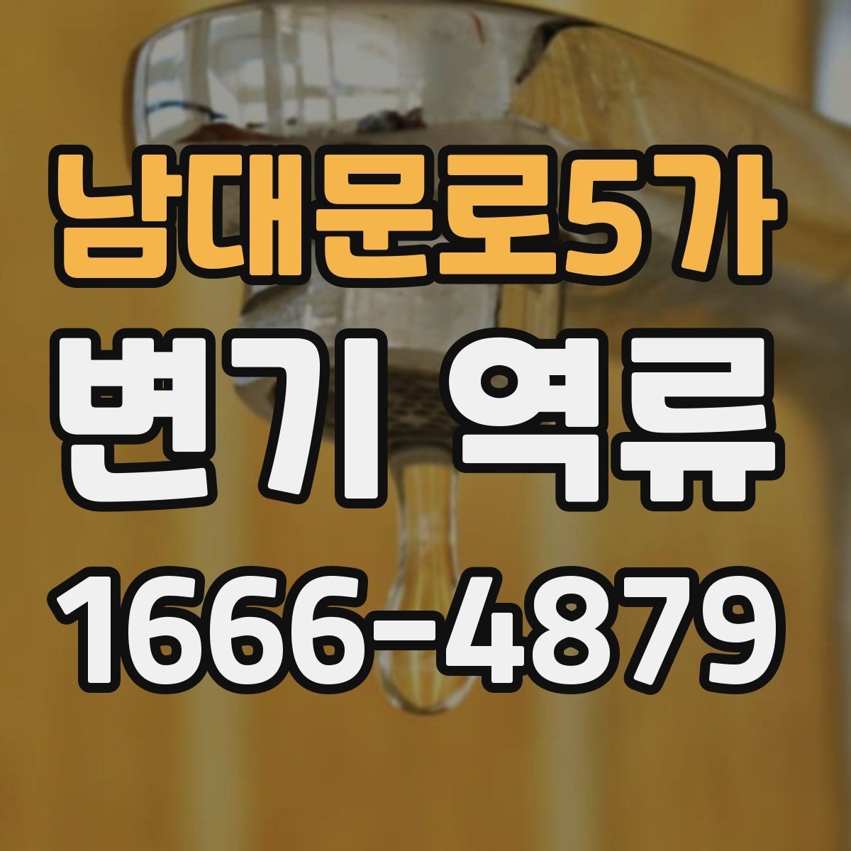 남대문로5가 변기 역류 문제를 예방하는 청결 관리