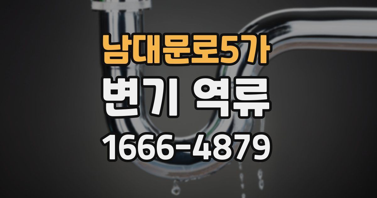 남대문로5가 변기 역류