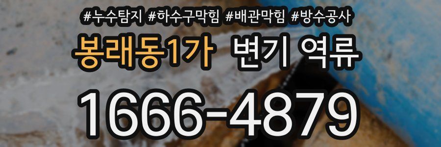 봉래동1가 변기 역류