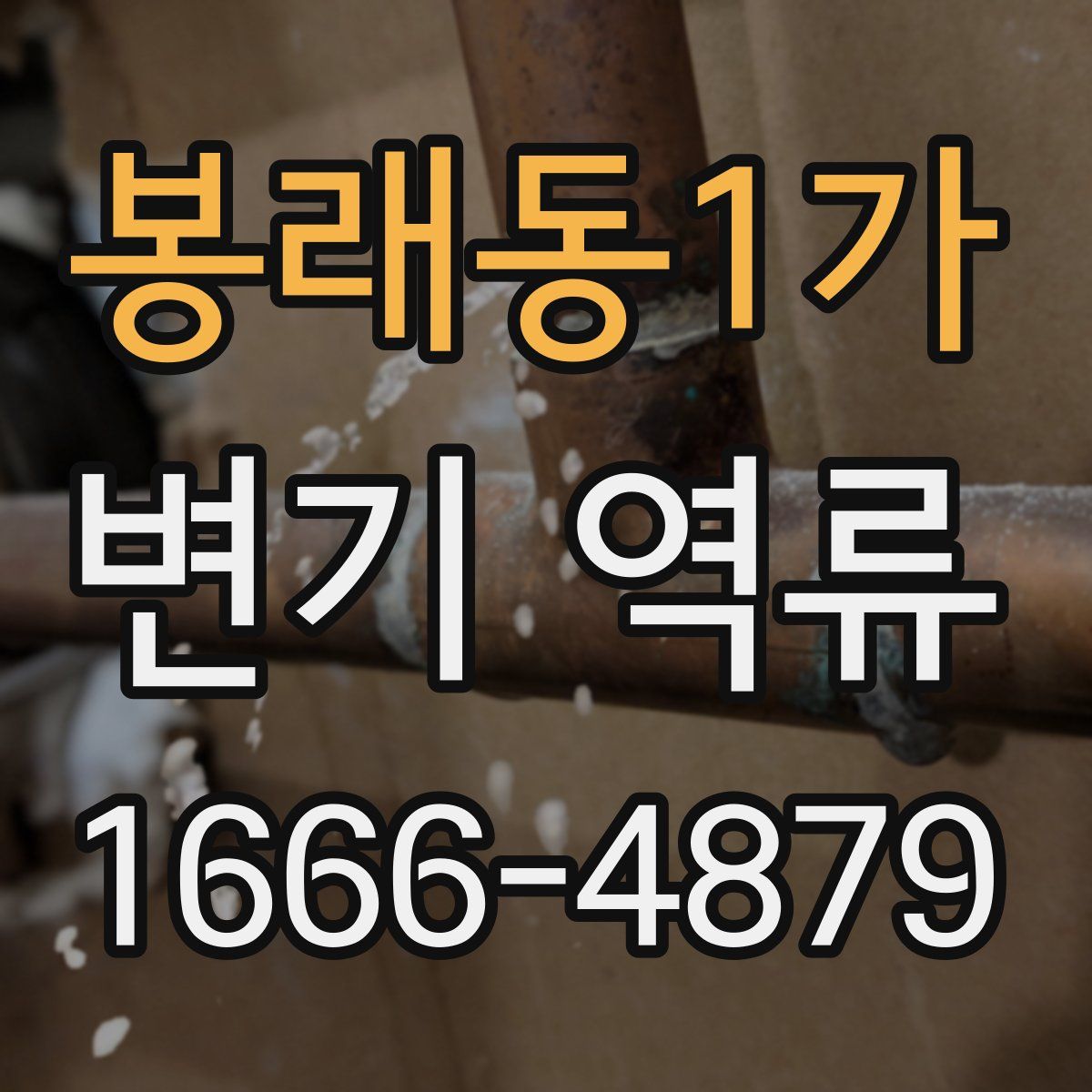 봉래동1가 변기 역류