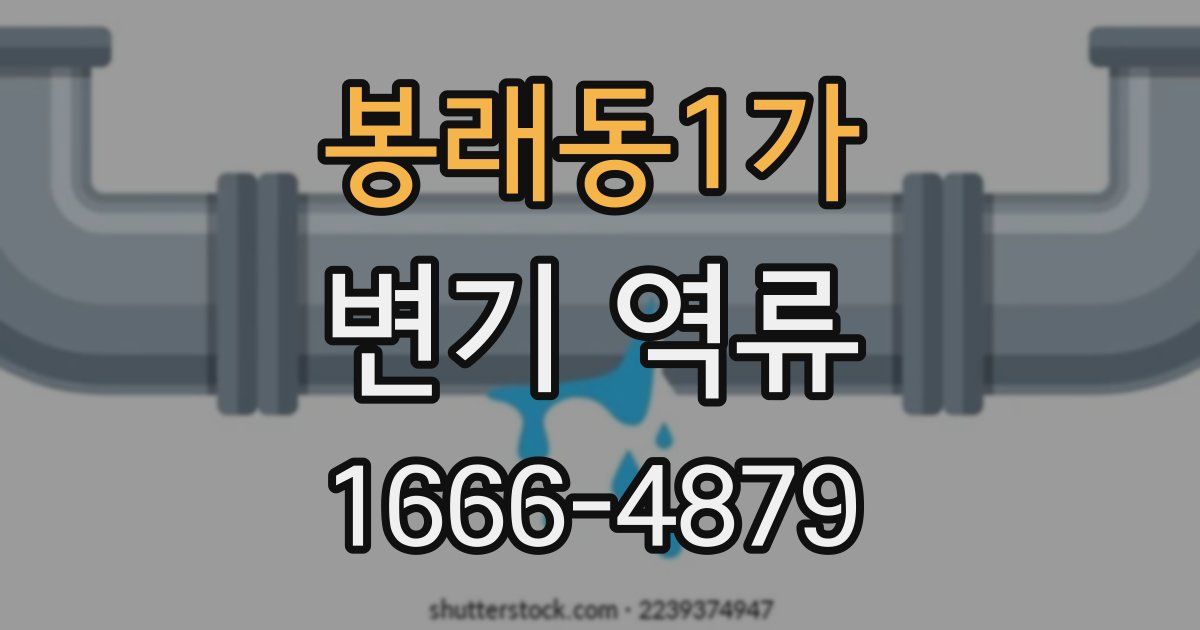 봉래동1가 변기 역류