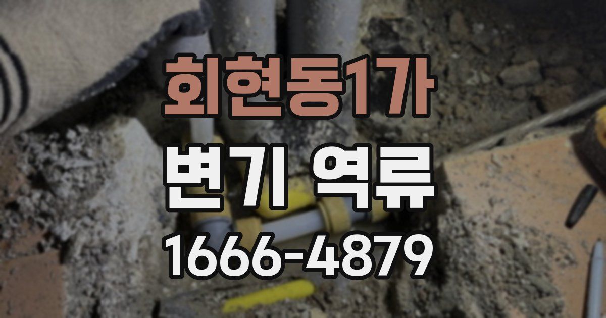 회현동1가 변기 역류