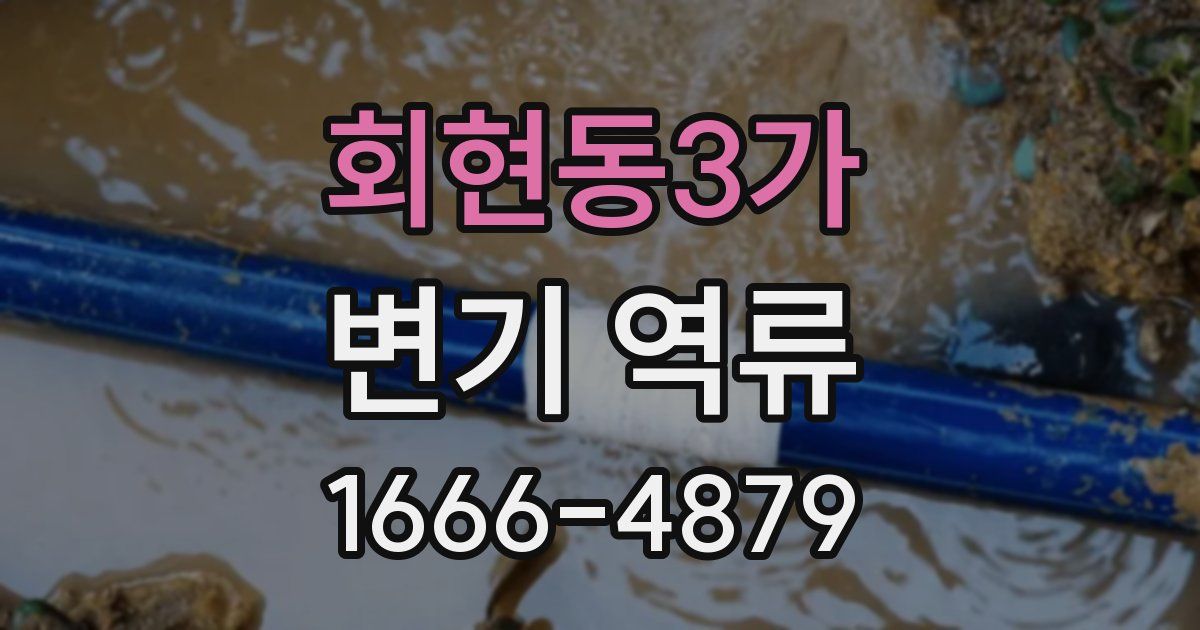 회현동3가 변기 역류