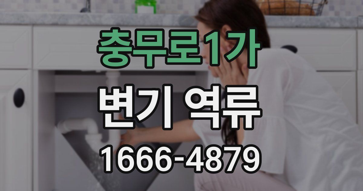 충무로1가 변기 역류