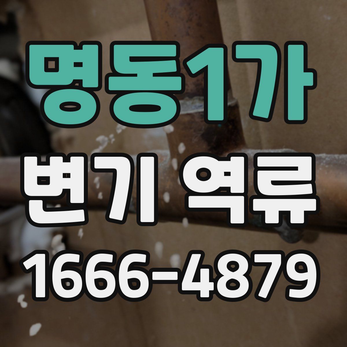명동1가 변기 역류