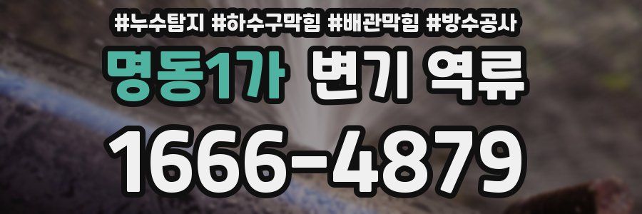 명동1가 변기 역류