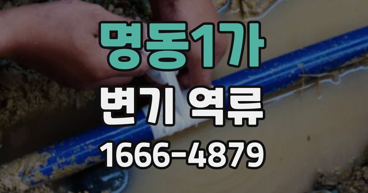 명동1가 변기 역류