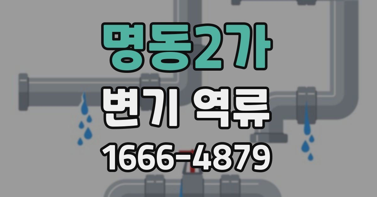 명동2가 변기 역류