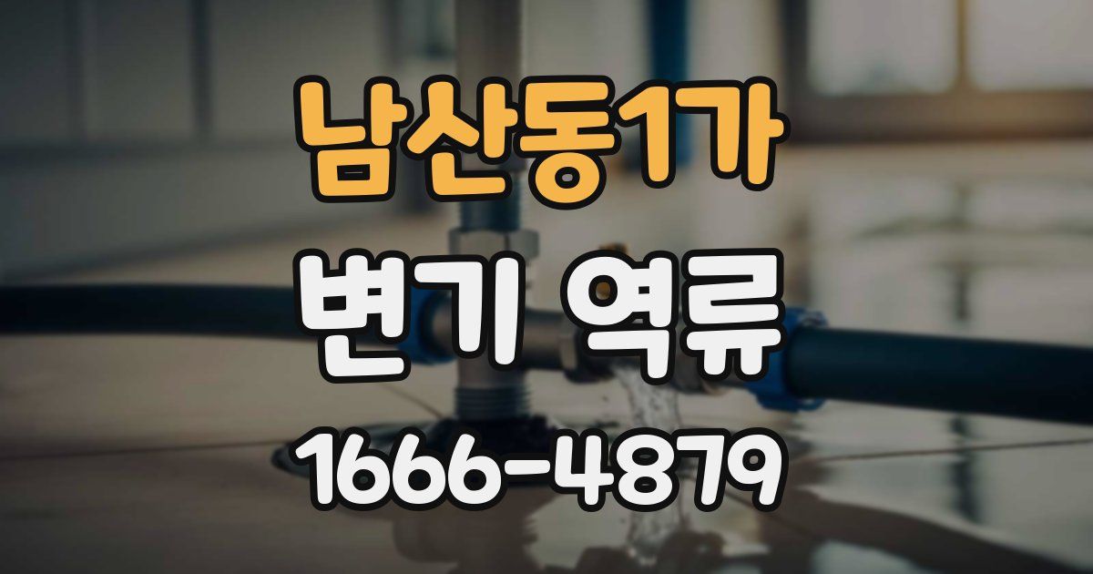 남산동1가 변기 역류