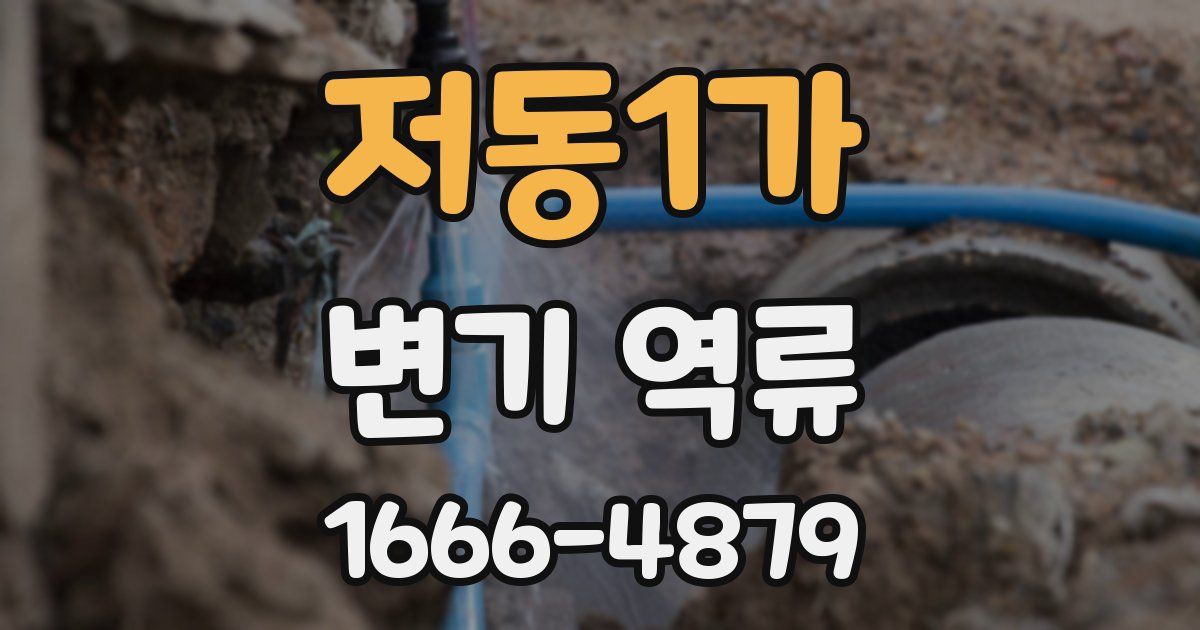 저동1가 변기 역류