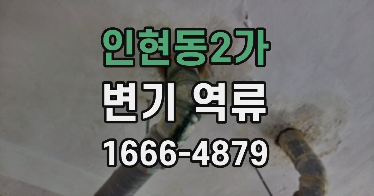 인현동2가 변기 역류