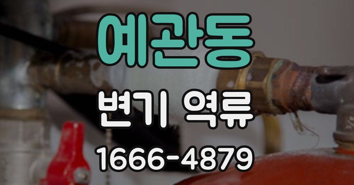 예관동 변기 역류