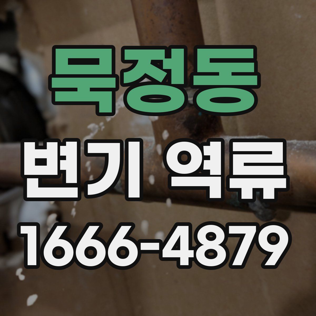 묵정동 변기 역류