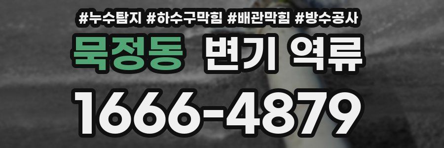묵정동 변기 역류