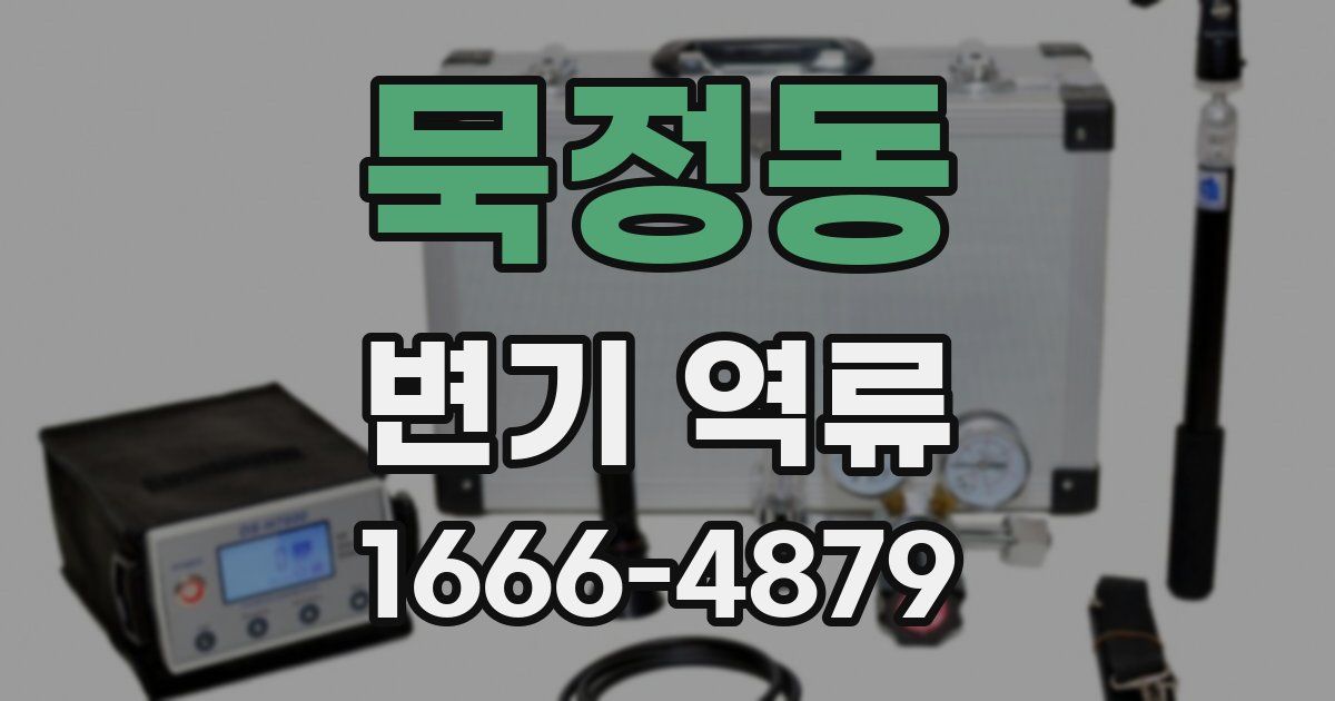 묵정동 변기 역류