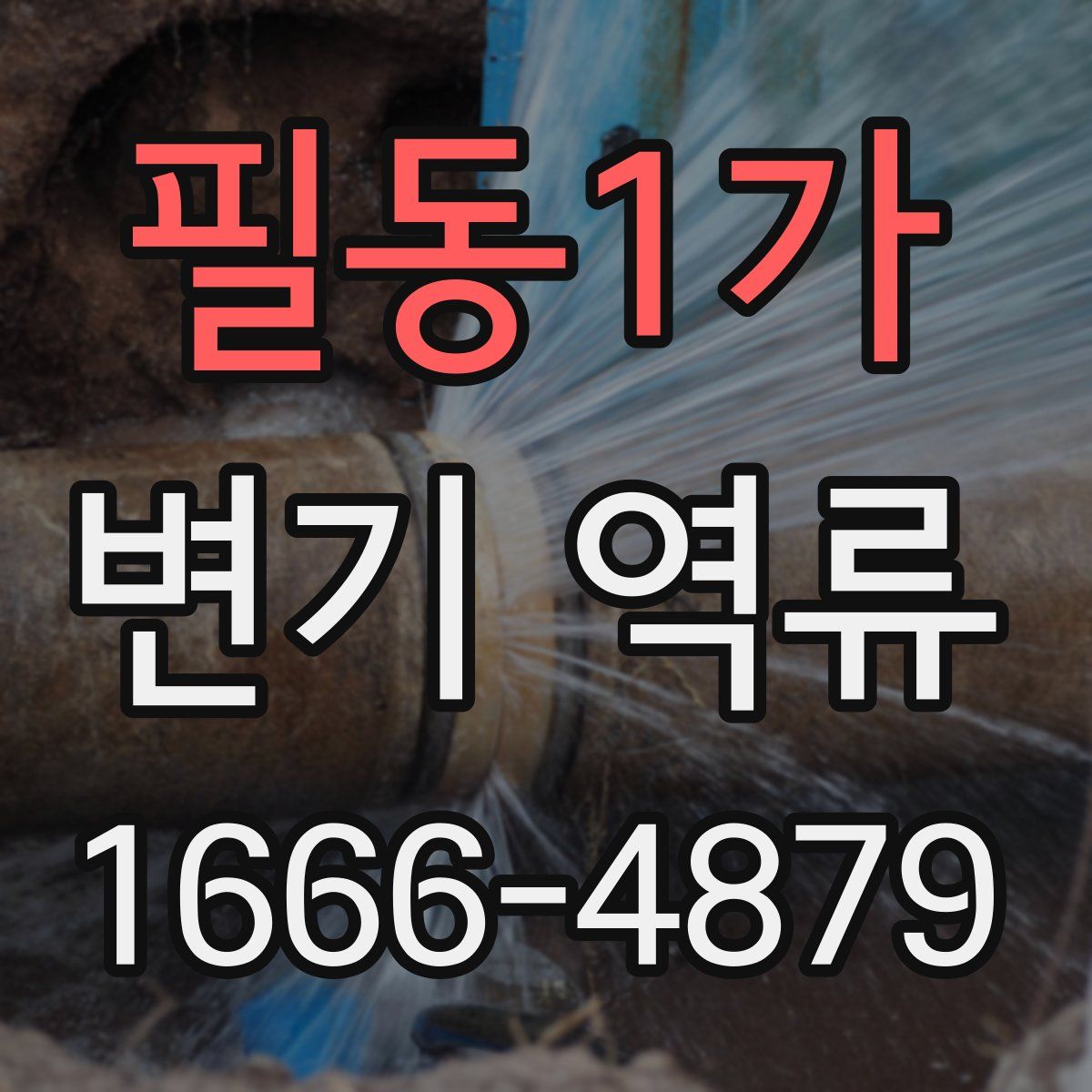 필동1가 변기 역류