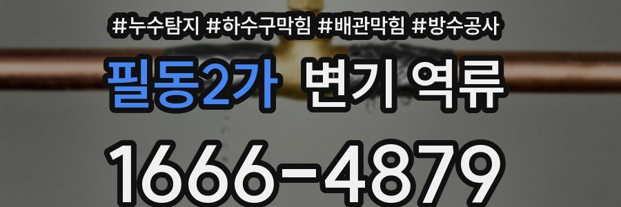 필동2가 변기 역류