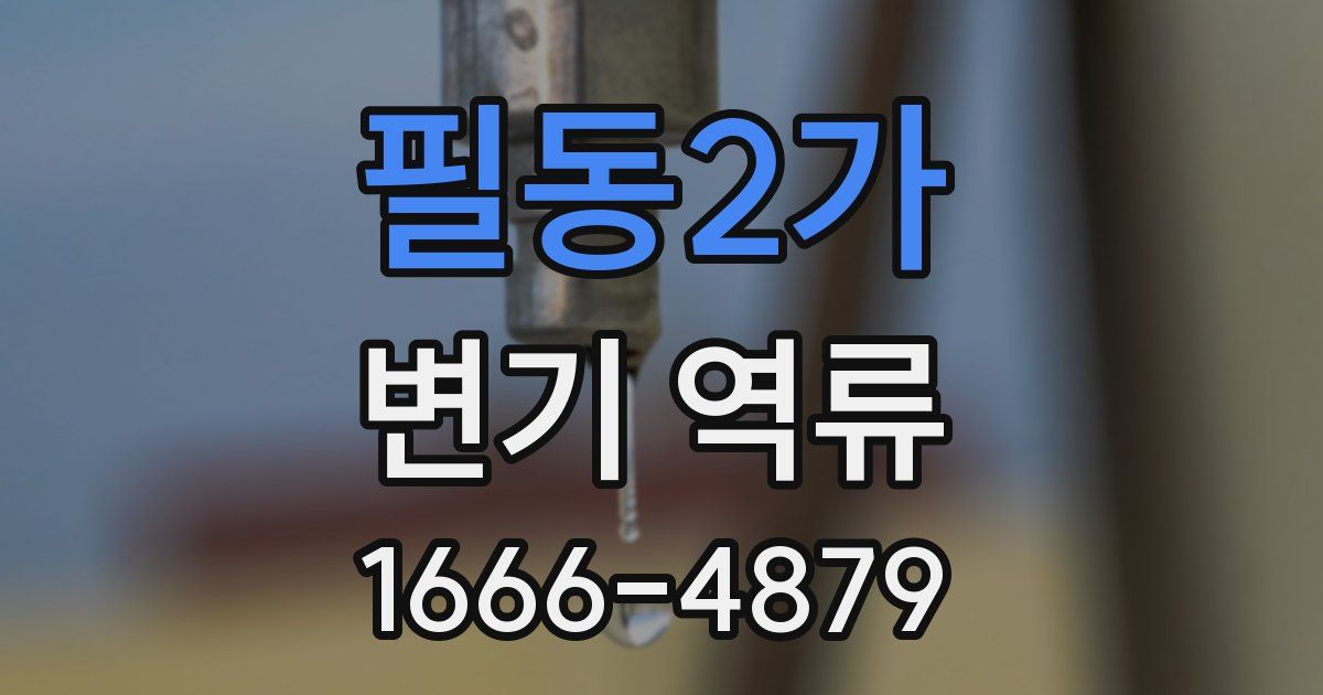 필동2가 변기 역류