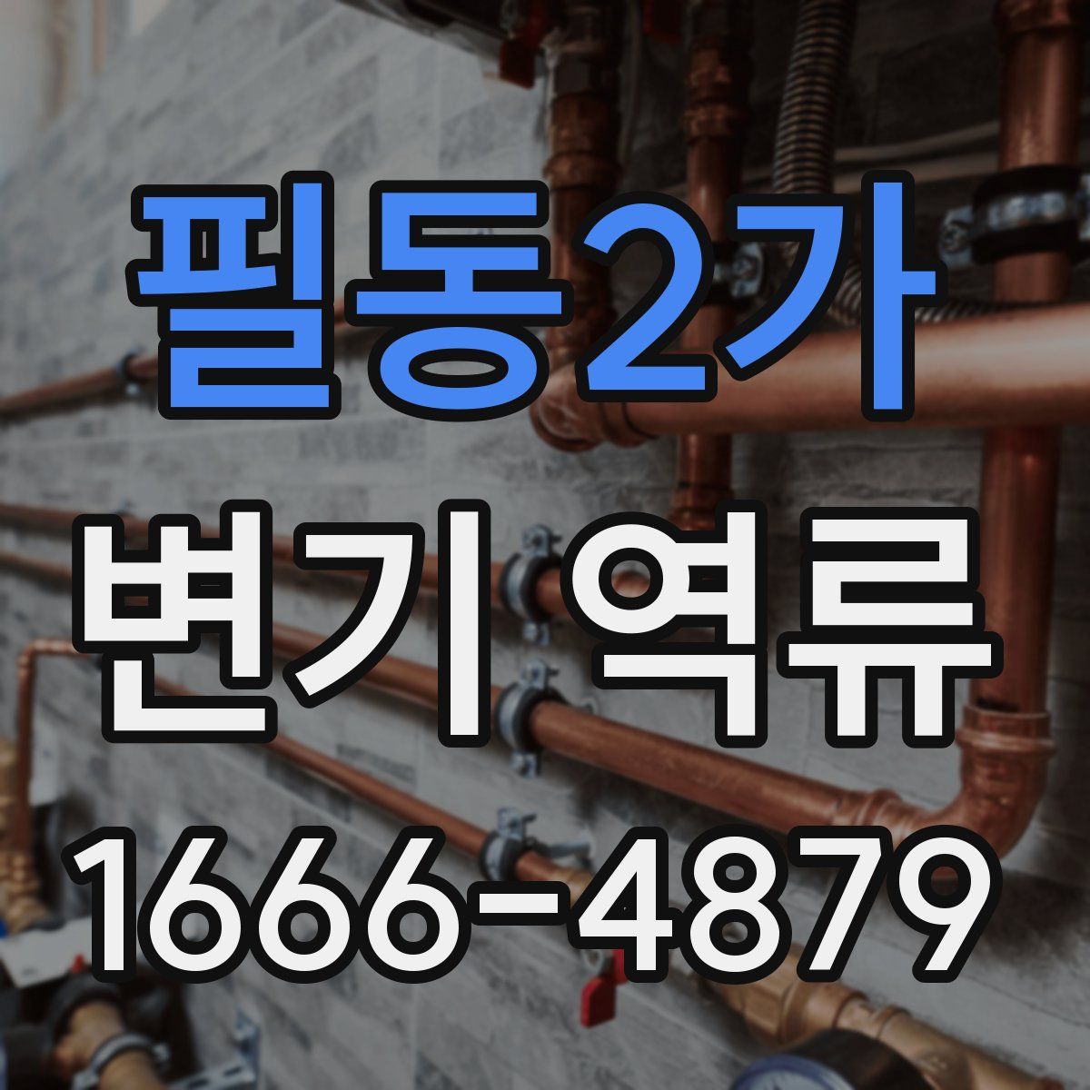 필동2가 변기 역류
