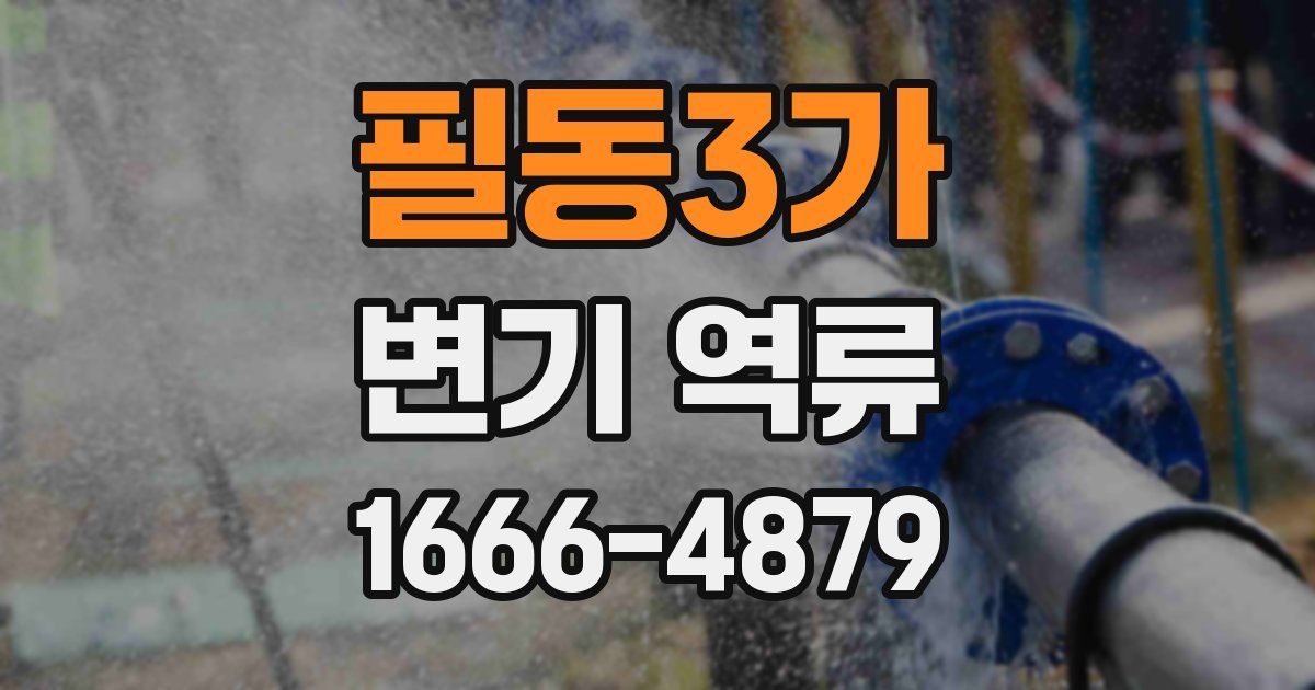 필동3가 변기 역류